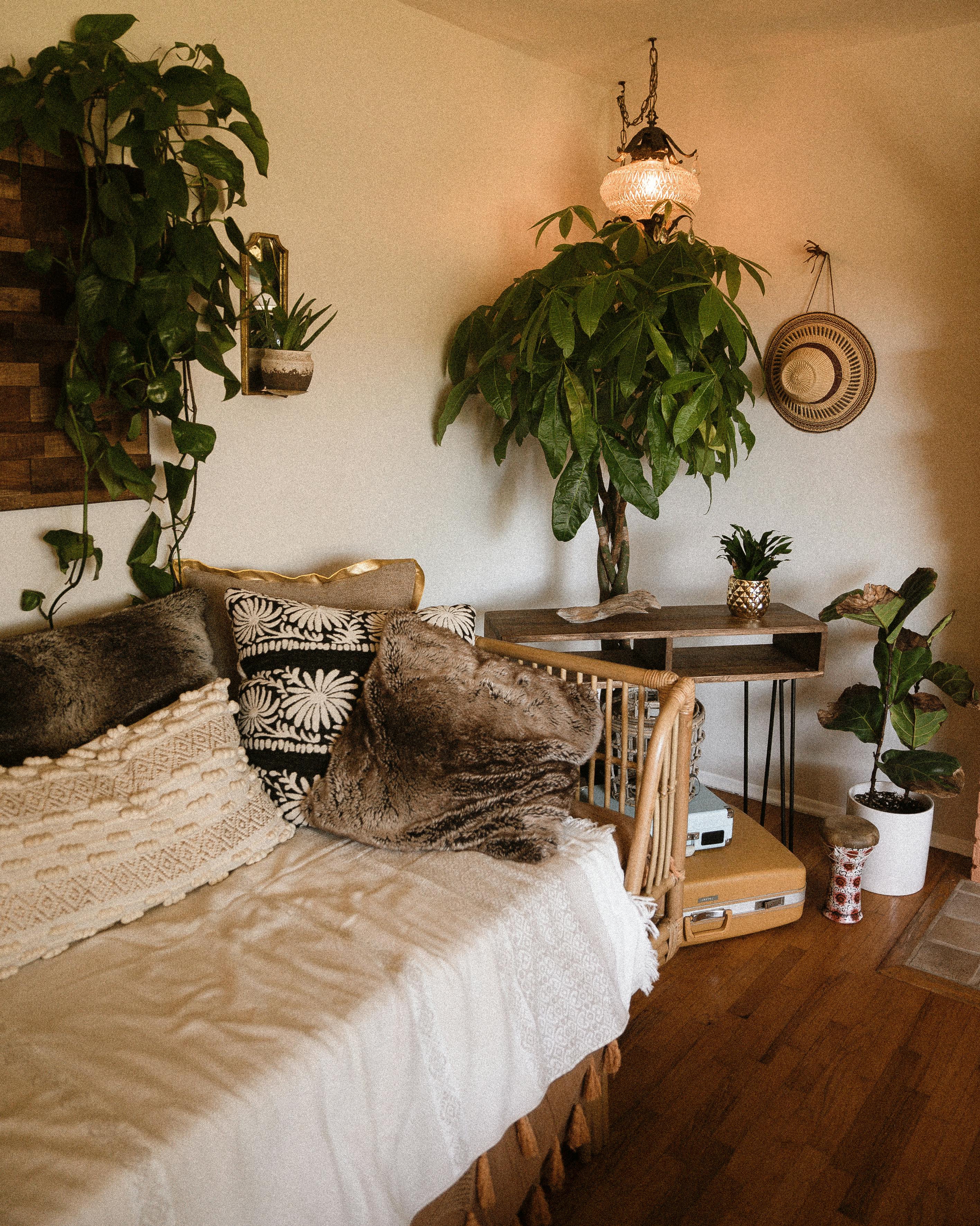 Cozy living room with a wooden bench, plants, and a small table.